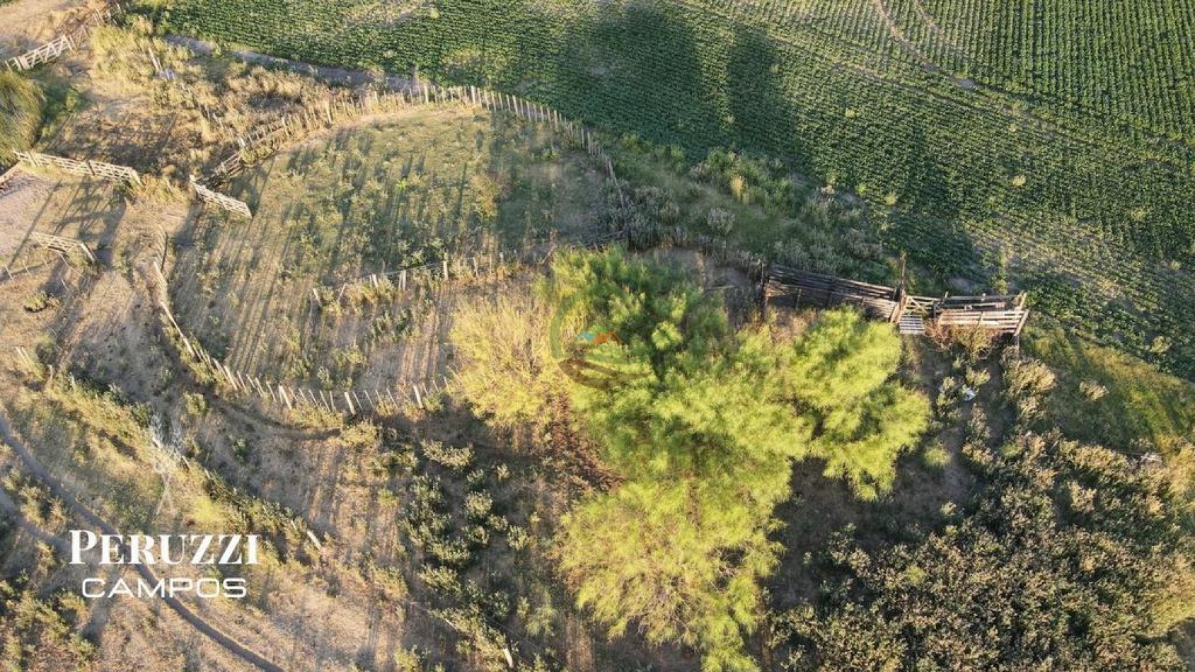 156 ha Mixtas - Diaz - San Jeronimo - Santa Fe