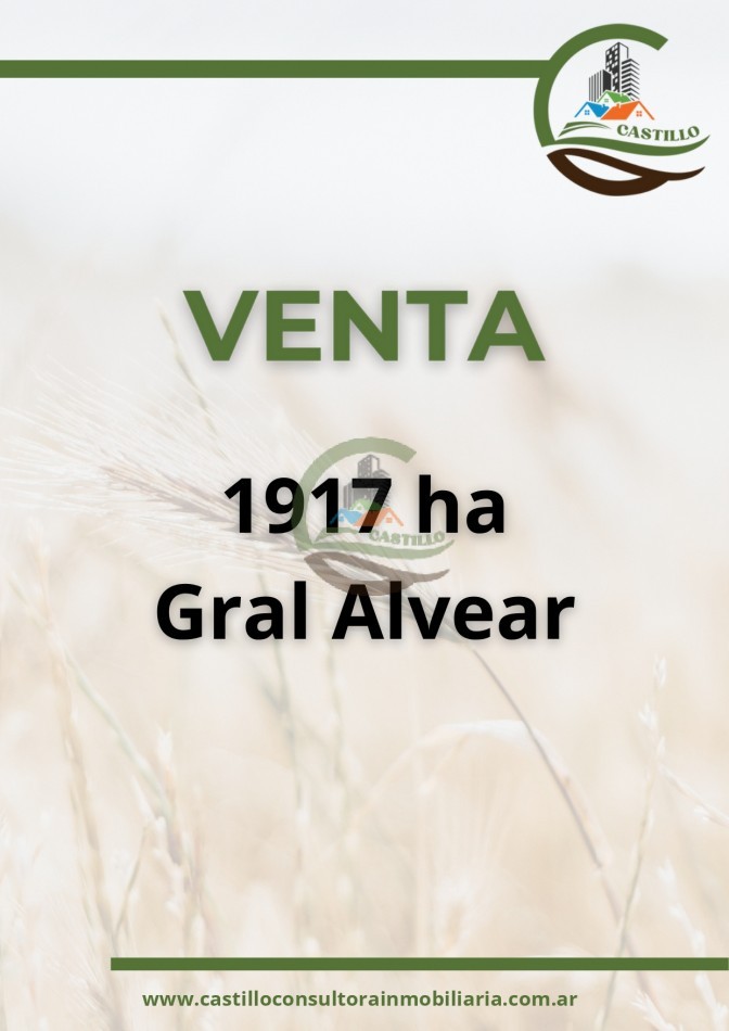 1917 ha mixto - gral alvear