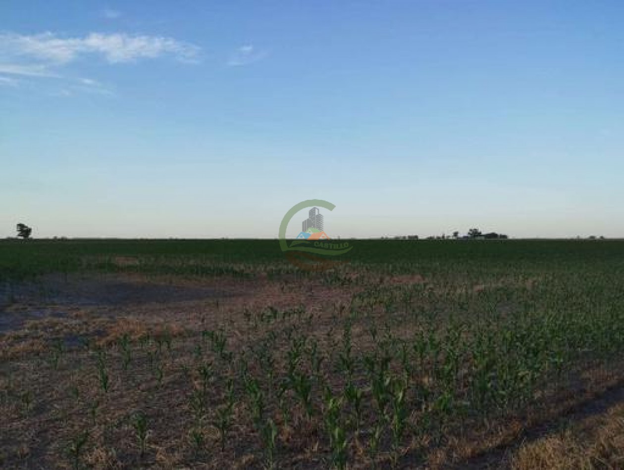 170 Ha Agricolas - Pehuajo 