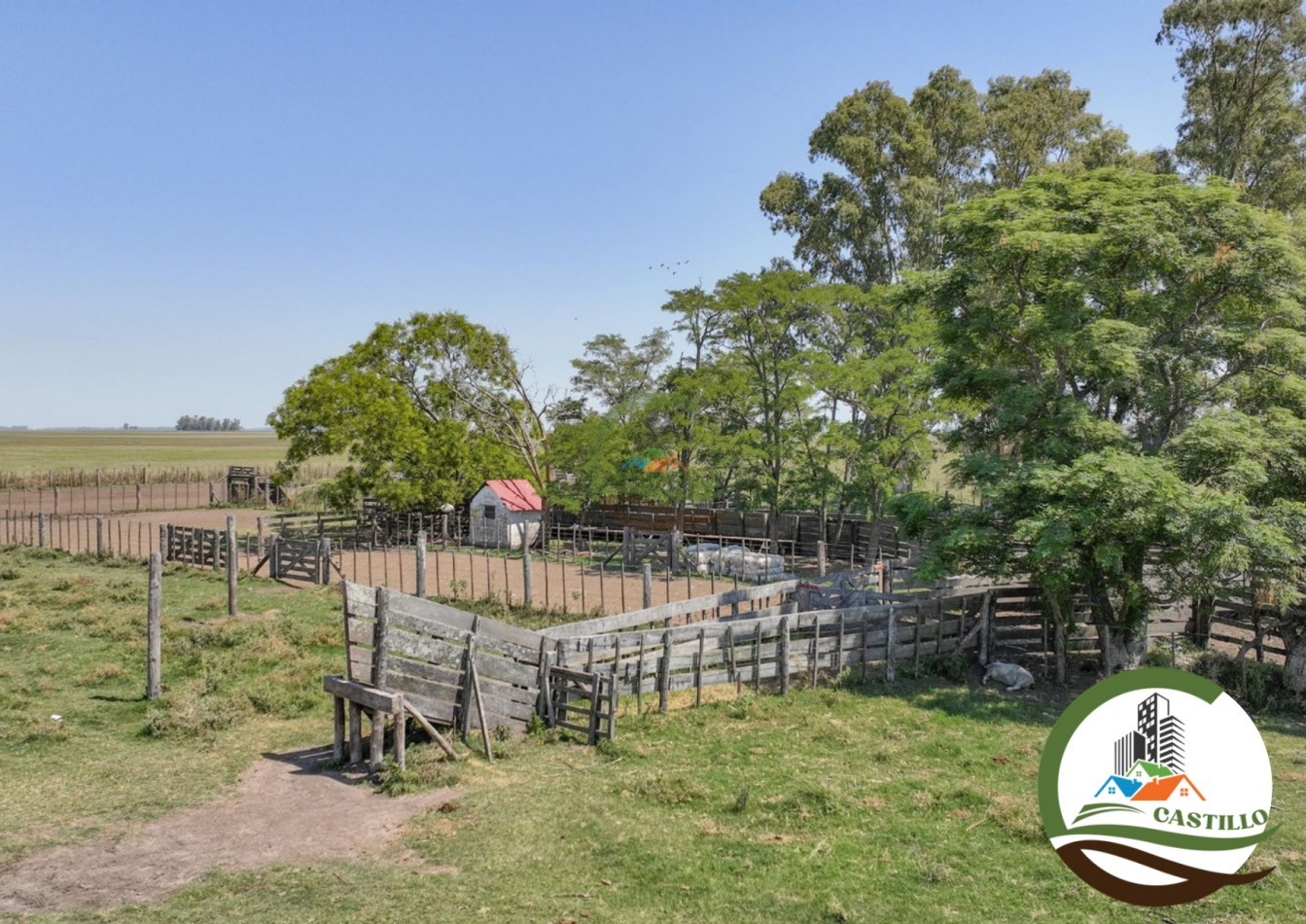 3275 ha ganaderas - general alvear