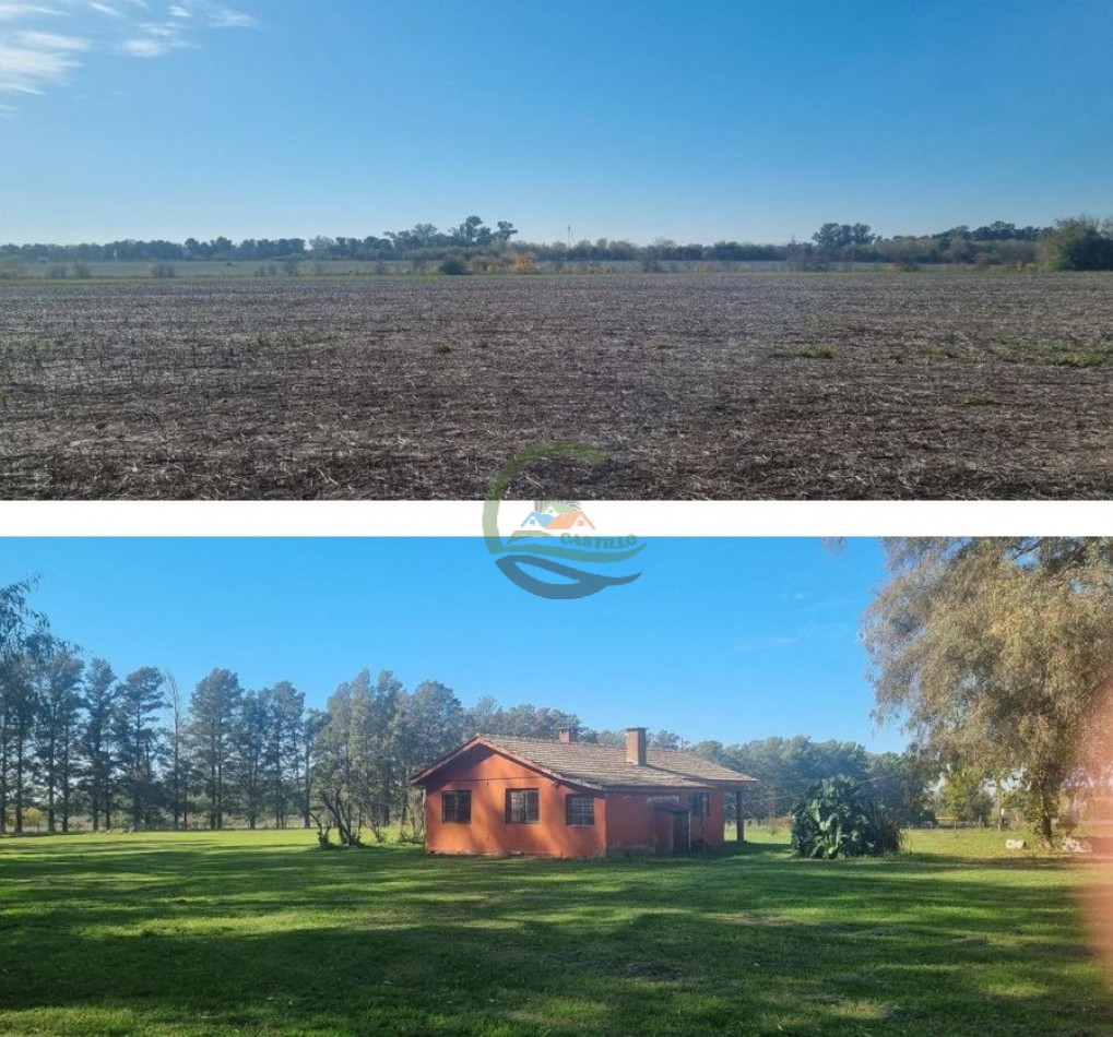 401 Ha Mixto - Lujan 