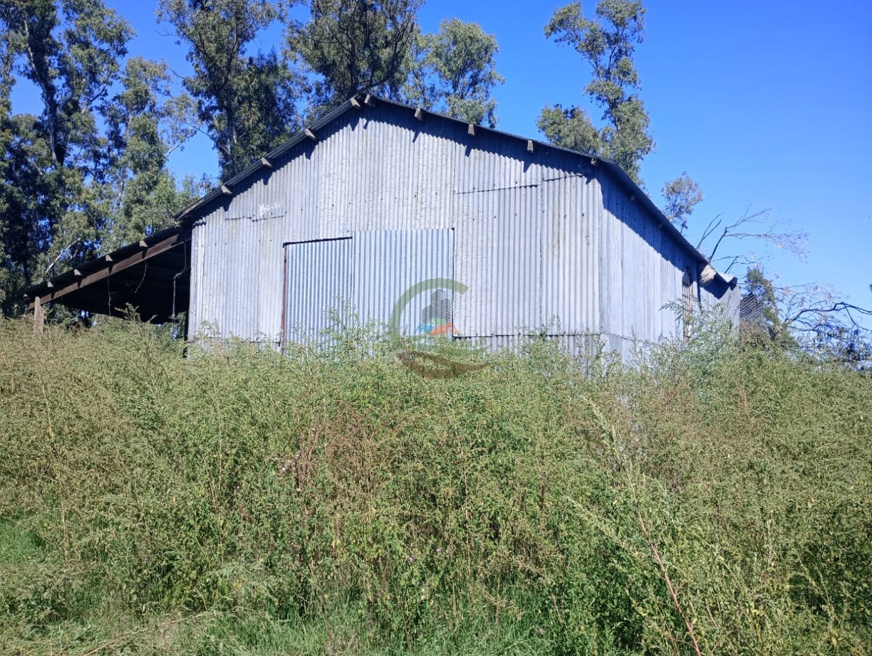 265 HA Agricolas - Saladillo