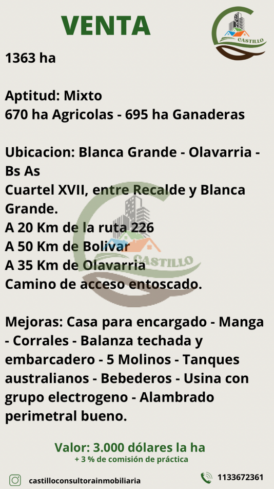1363 ha Mixta - Olavarria 