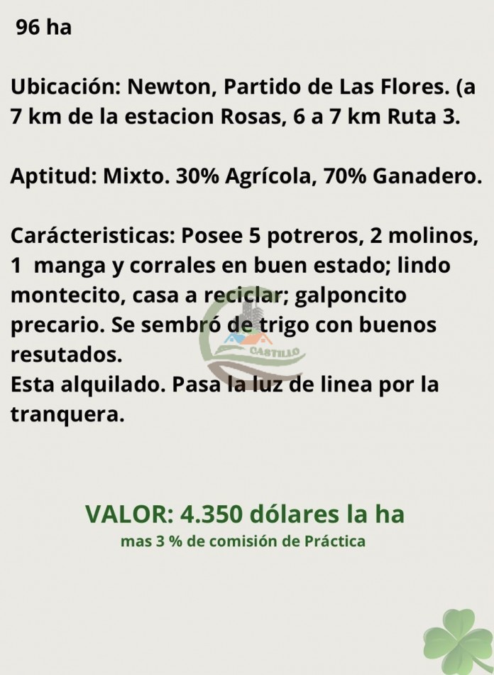96 ha mixtas - las flores