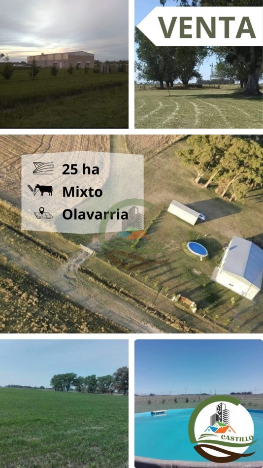 25 ha Mixto - Olavarria 