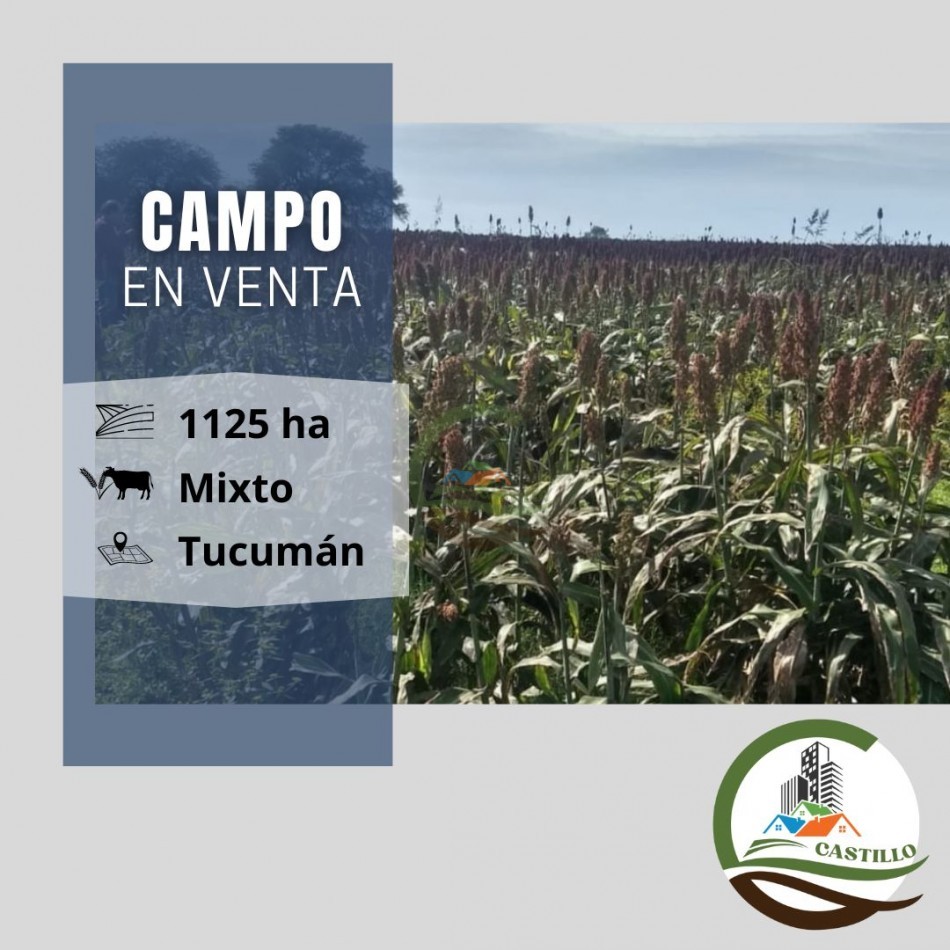 1125 ha Subdividido en tres fracciones mixto - Tucuman