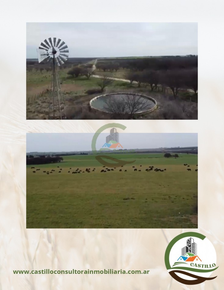 1148 ha mixto - la pampa