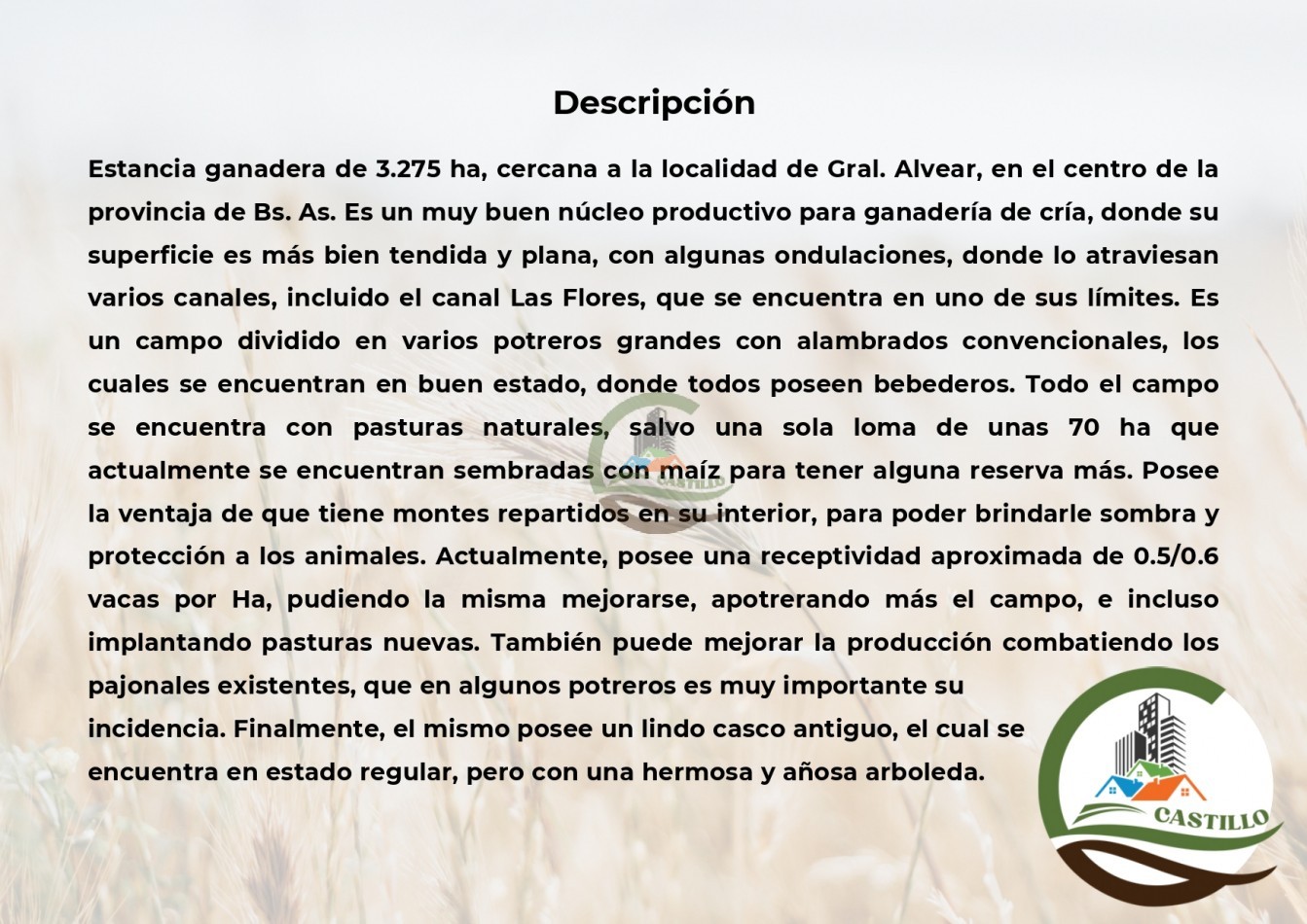3275 ha ganaderas - general alvear