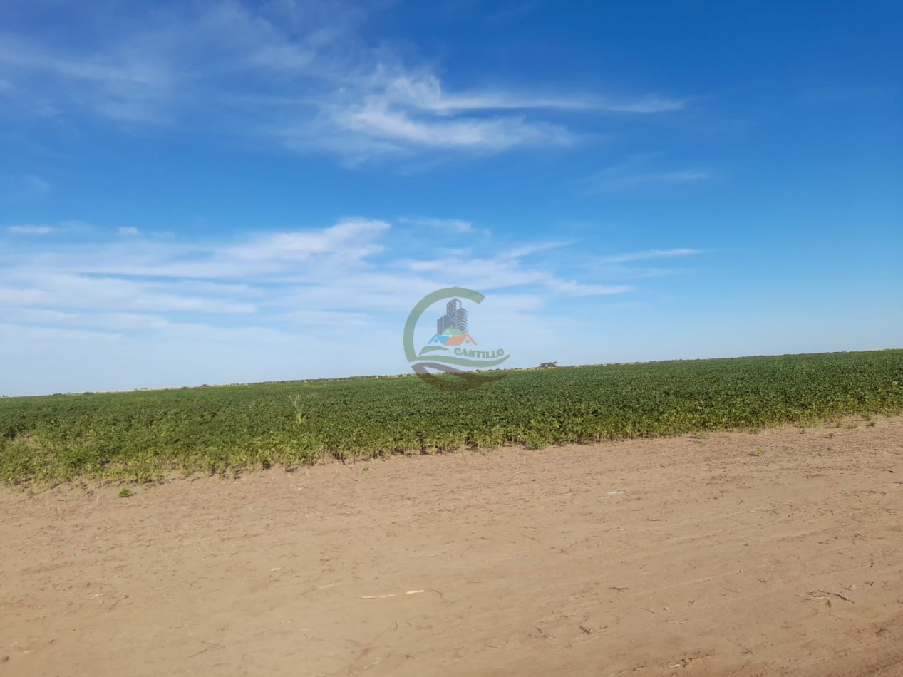 2200 Ha Agricolas - Laboulaye - Cordoba