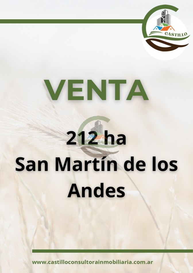 212 ha - san martin de los andes