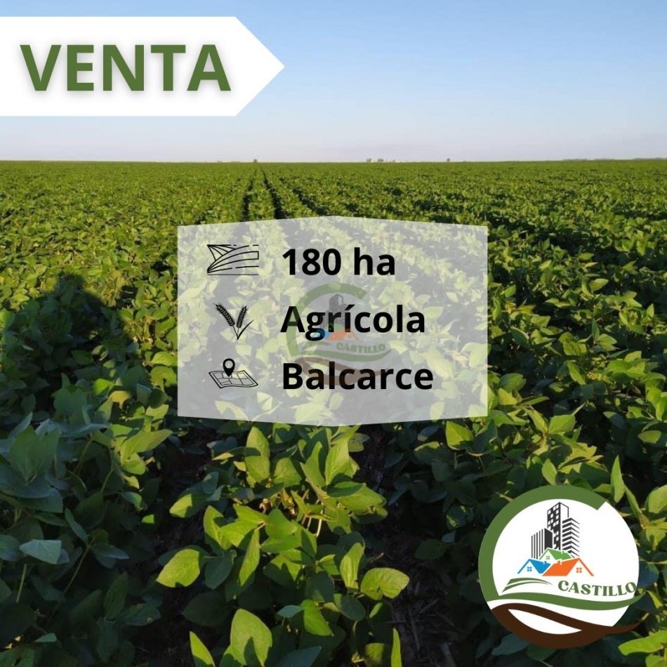 175 ha agricolas - balcarce 