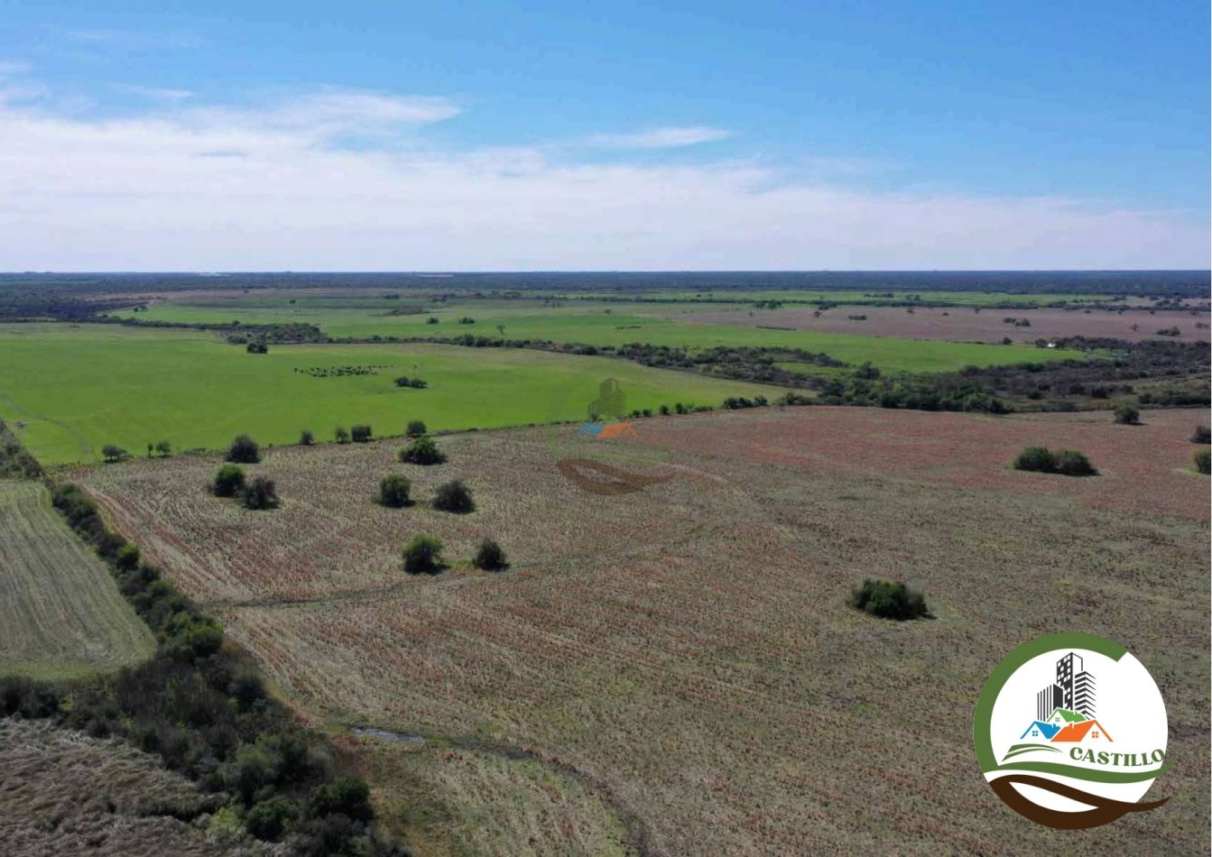2658 ha Mixto - Entre Rios