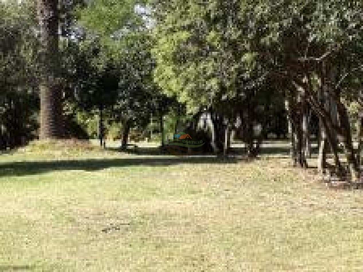 1561 Ha Mixtas - San Martin - Santa Fe