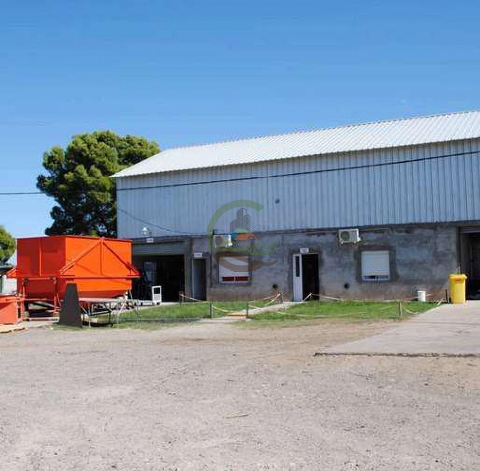Frigorifico - con feedlot- Exportadora - La Adela - La Pampa
