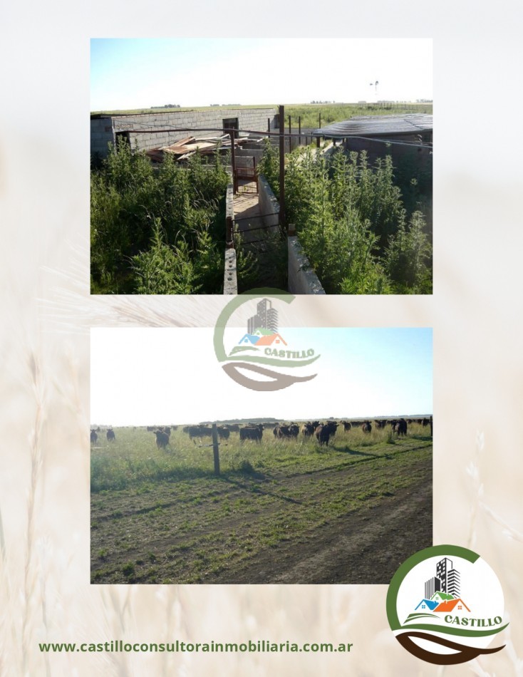 500 ha mixtas - guamini