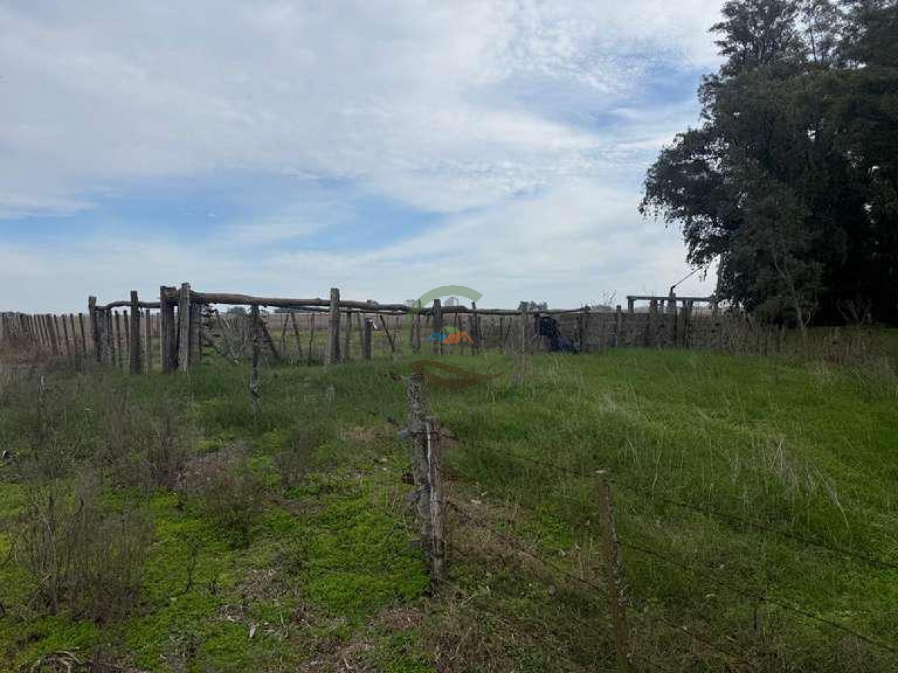 639 Ha Mixto - Urdampilleta - Bolivar