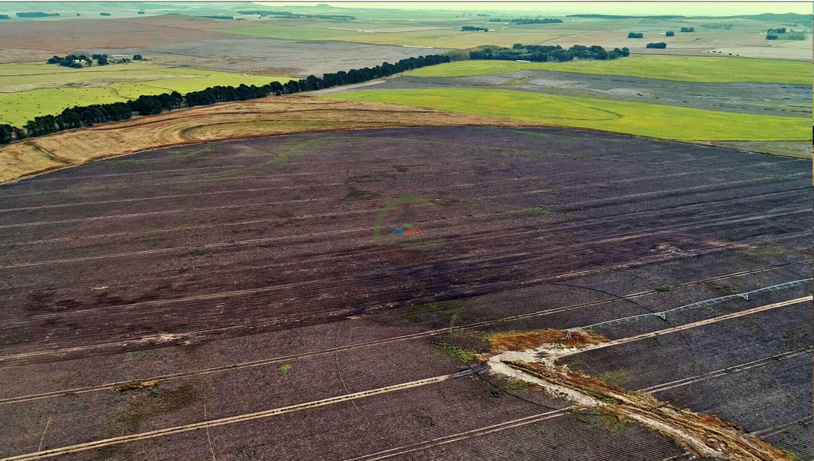 1007 Ha Agricolas - Tandil