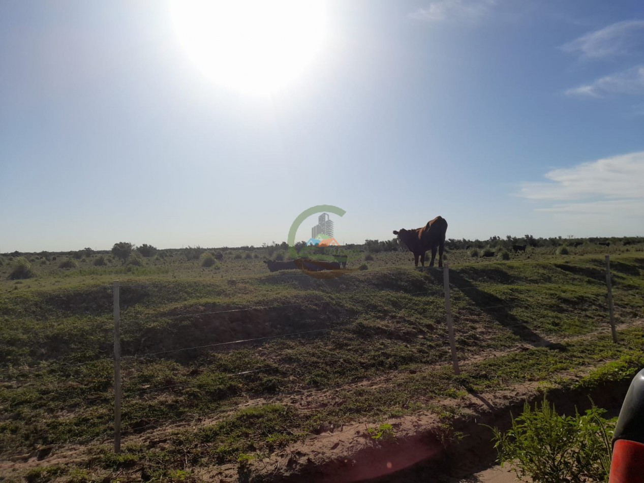 2200 Ha Agricolas - Laboulaye - Cordoba