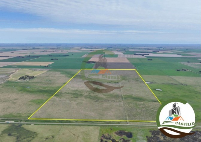 204 ha mixtas - olavarria