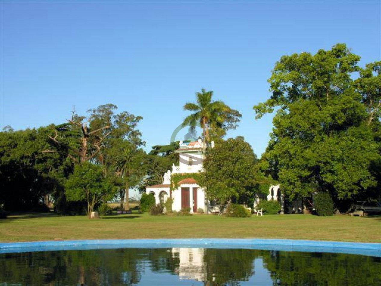 899 Ha Mixtas - Chascomus