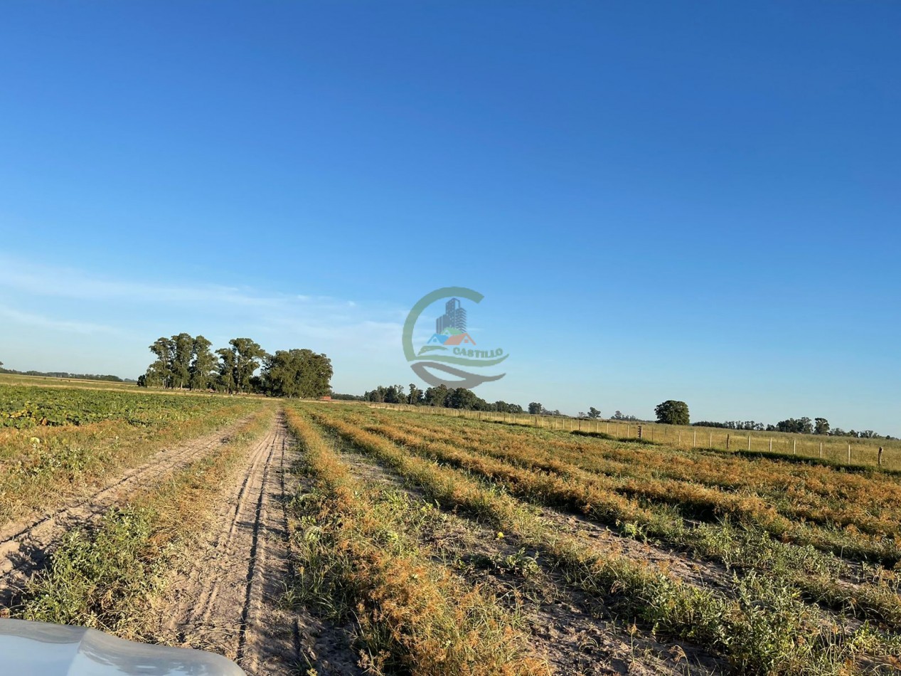18 ha Mixtos - Pedernales