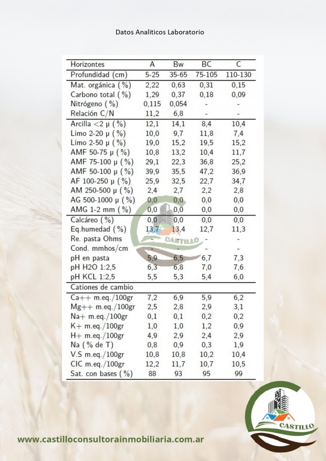 500 ha mixto - lincoln