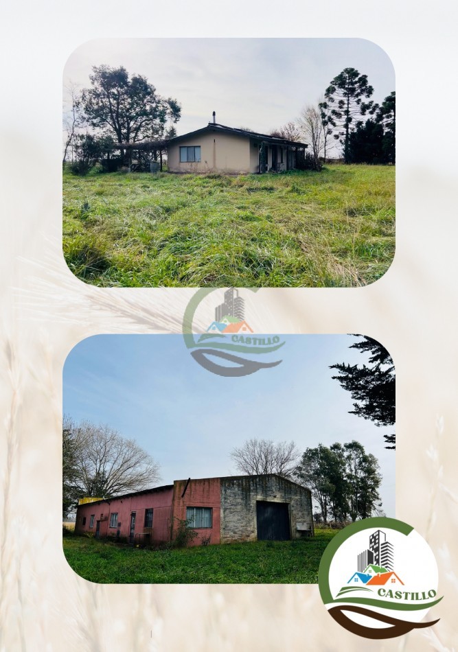 254 ha mixtas - balcarce