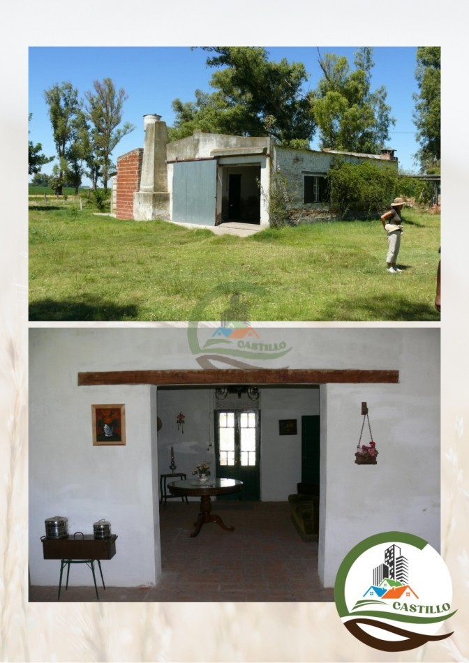 8 ha mixtas - Saladillo