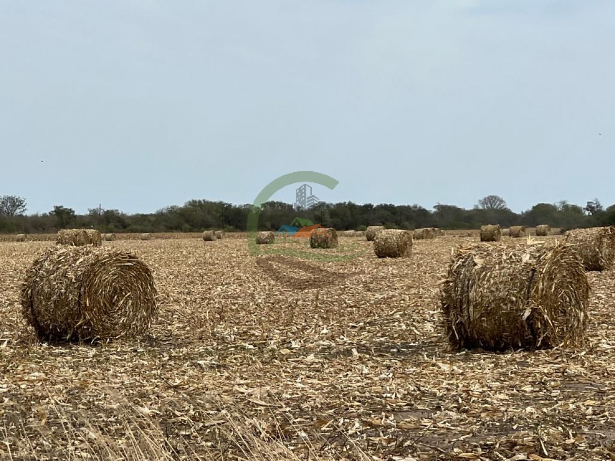 43000 ha MIxtos - Formosa