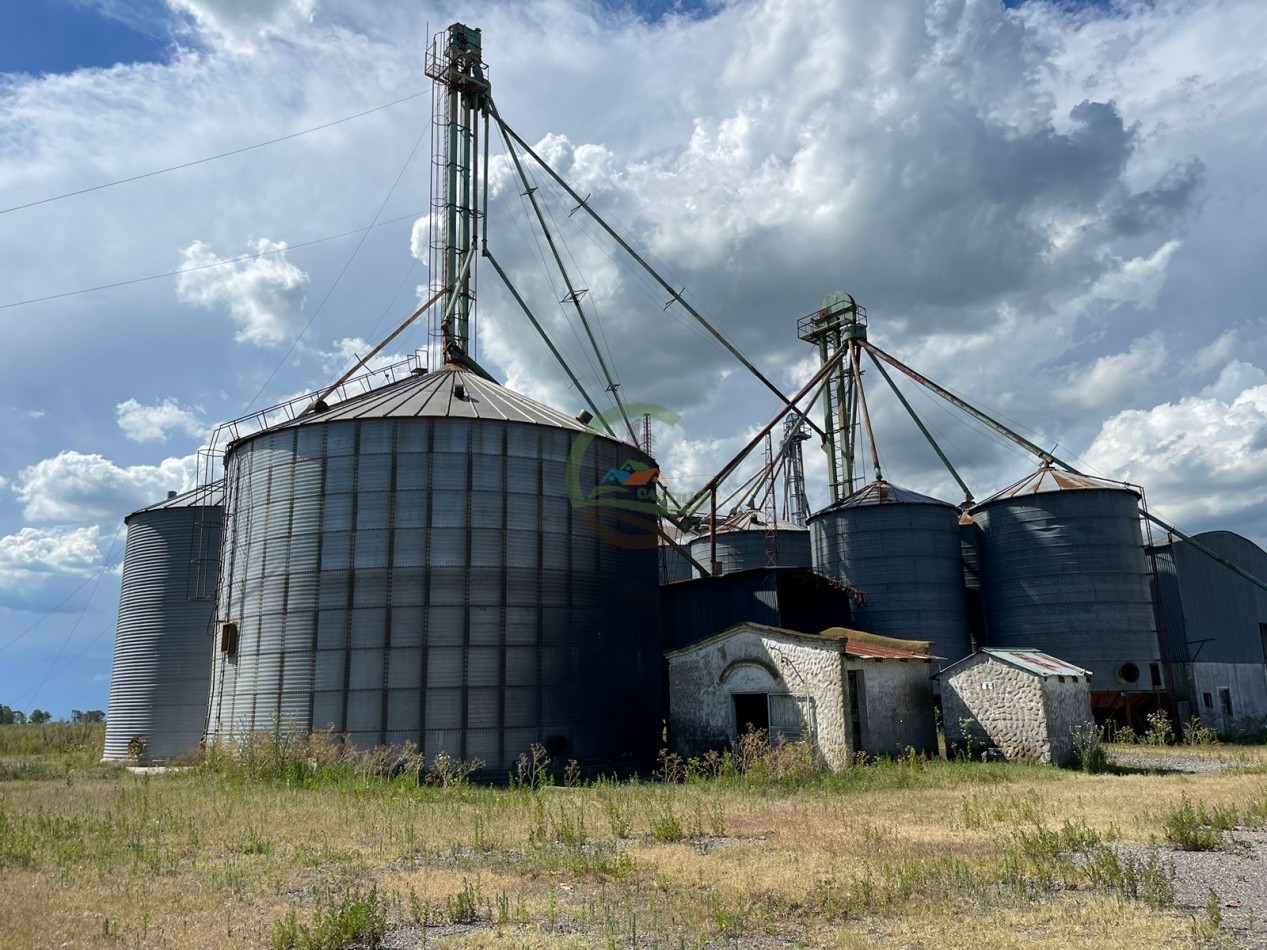 109 ha Feed Lot - Las Flores