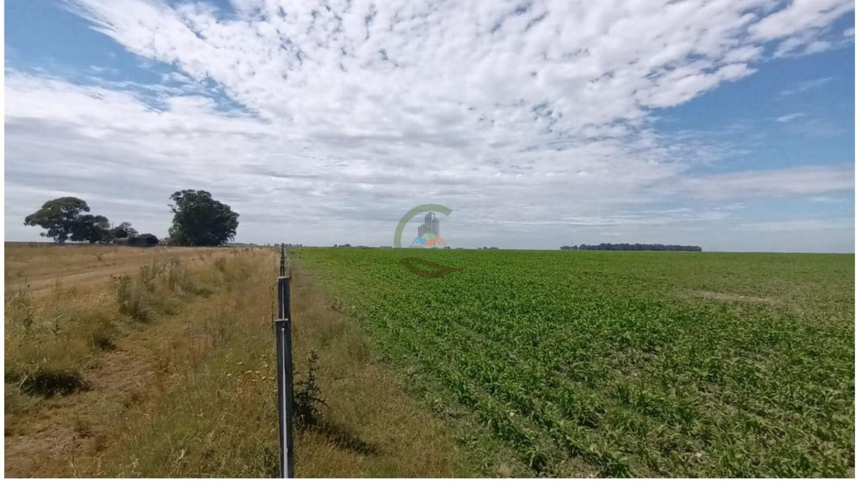 283 Ha Mixto - Necochea