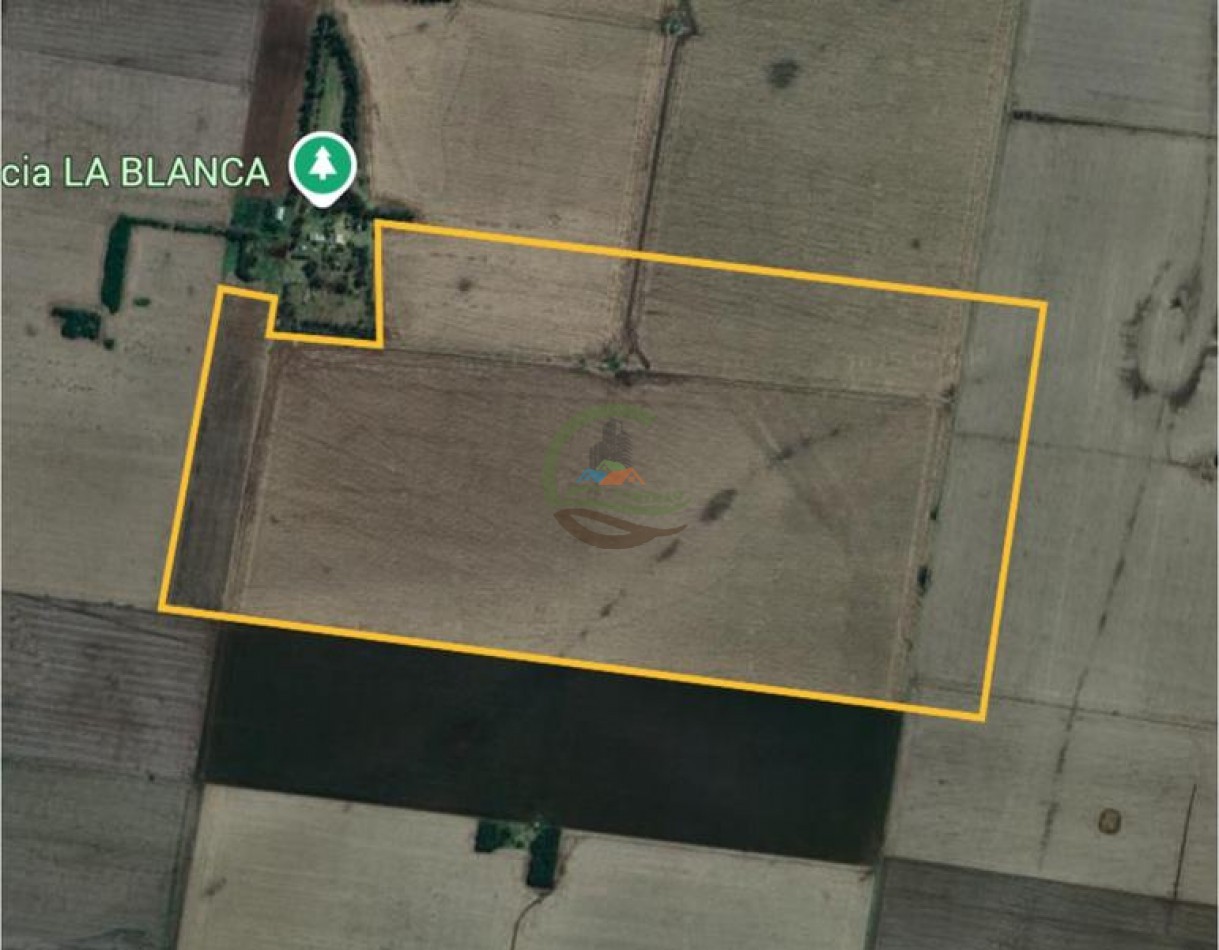 189 Ha Agricolas - Monte Maiz - Cordoba 
