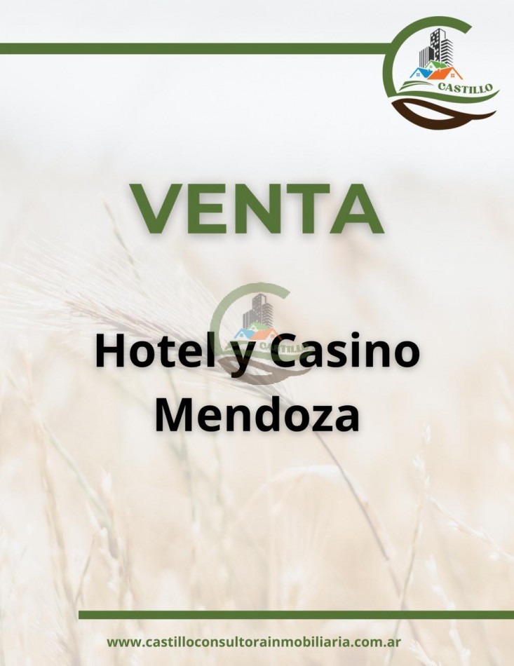 Hotel 4 estrellas y casino - Mendoza - ruta del vino