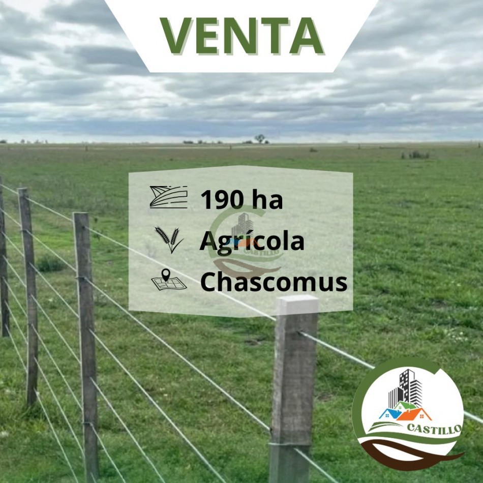 192 ha agricolas - chascomus