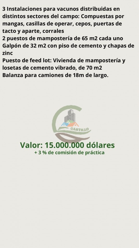 5382,89 Ha Mixtas - Tapalque