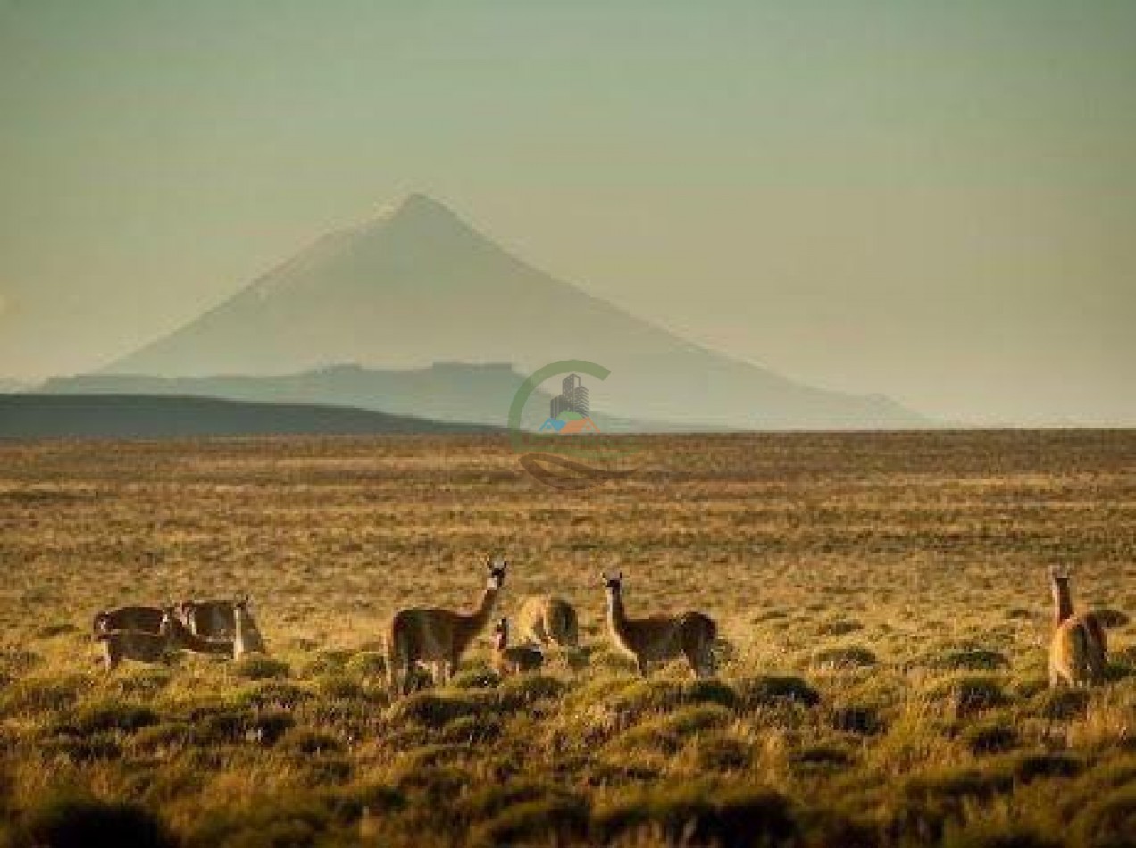 4047 Ha Ganadero - Coto de Caza - La Rinconada - Neuquen