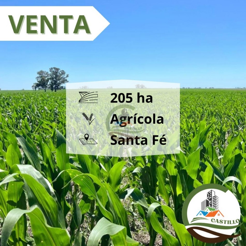 206 ha Agricolas - Santa Fe