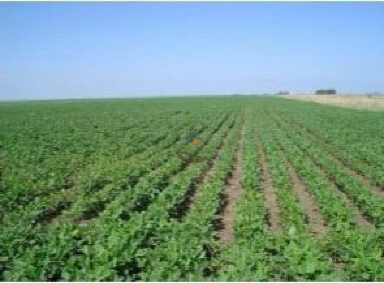 693 Ha Mixtas - Murphy - Santa Fe