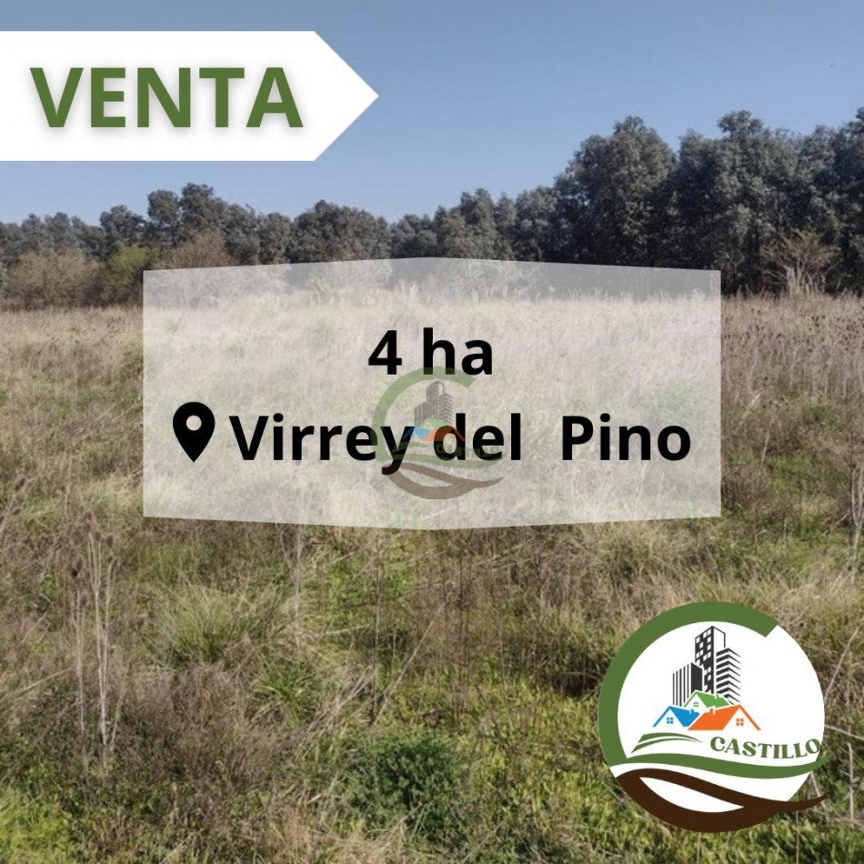 4 ha Virrey del Pino