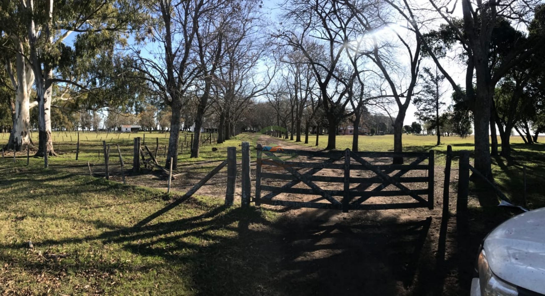 4800 ha MIxtas - Gral Belgrano