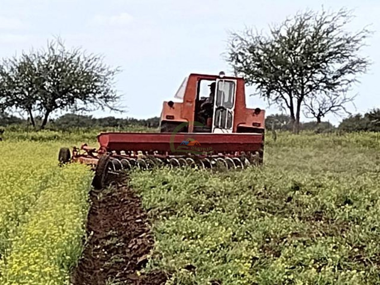 850 Ha Mixto - Puan