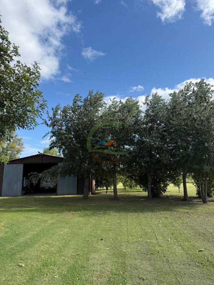 59,5 Ha Agricolas - Polvaredas - Saladillo