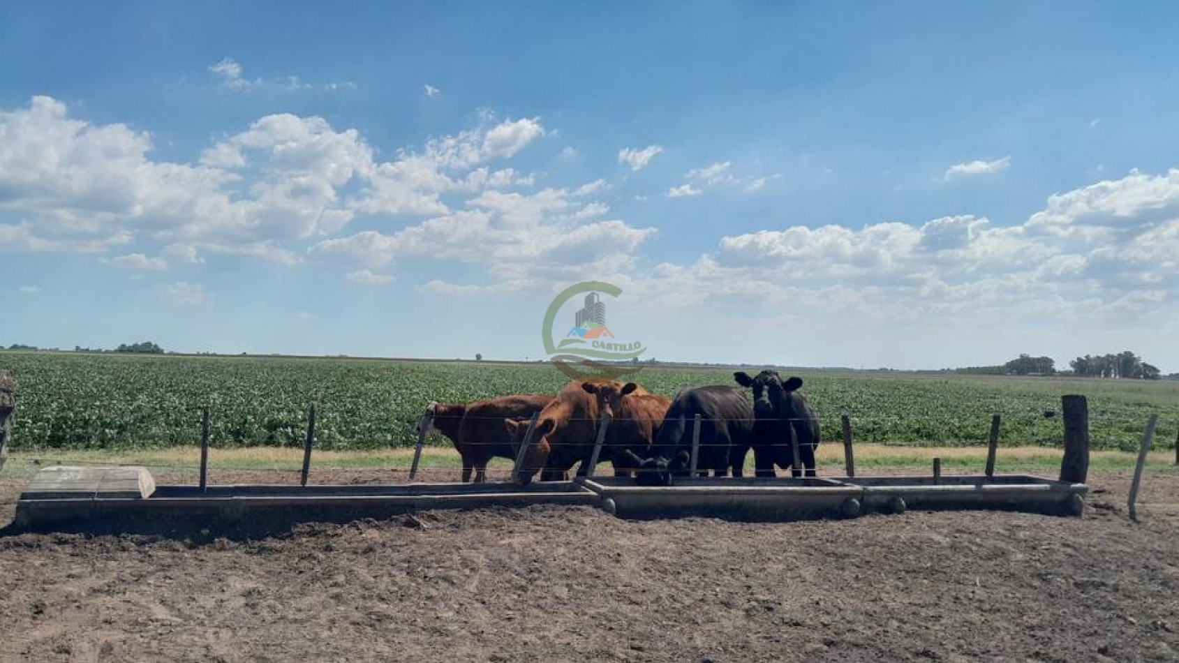 210 Ha Agricolas - Quirno Costa - General Viamonte