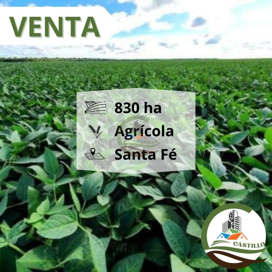 830 ha - Agricolas - Santa fe