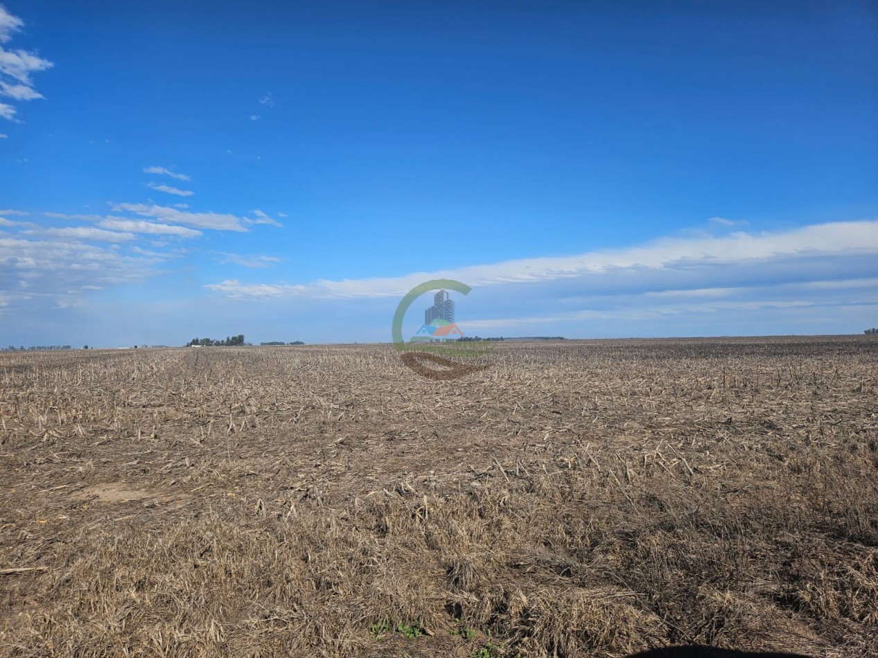 797 ha Agricolas - Bolivar