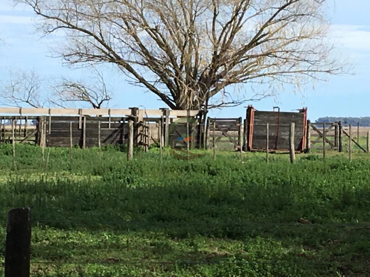 380 ha Mixtas - Bolivar