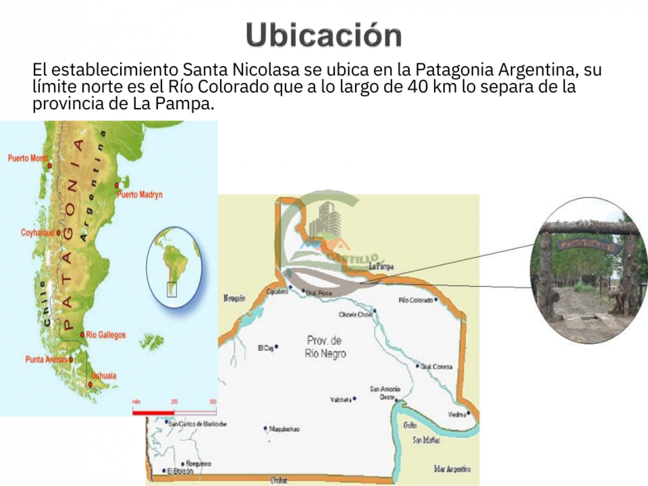 74000 ha Mixtas - Rio Colarado