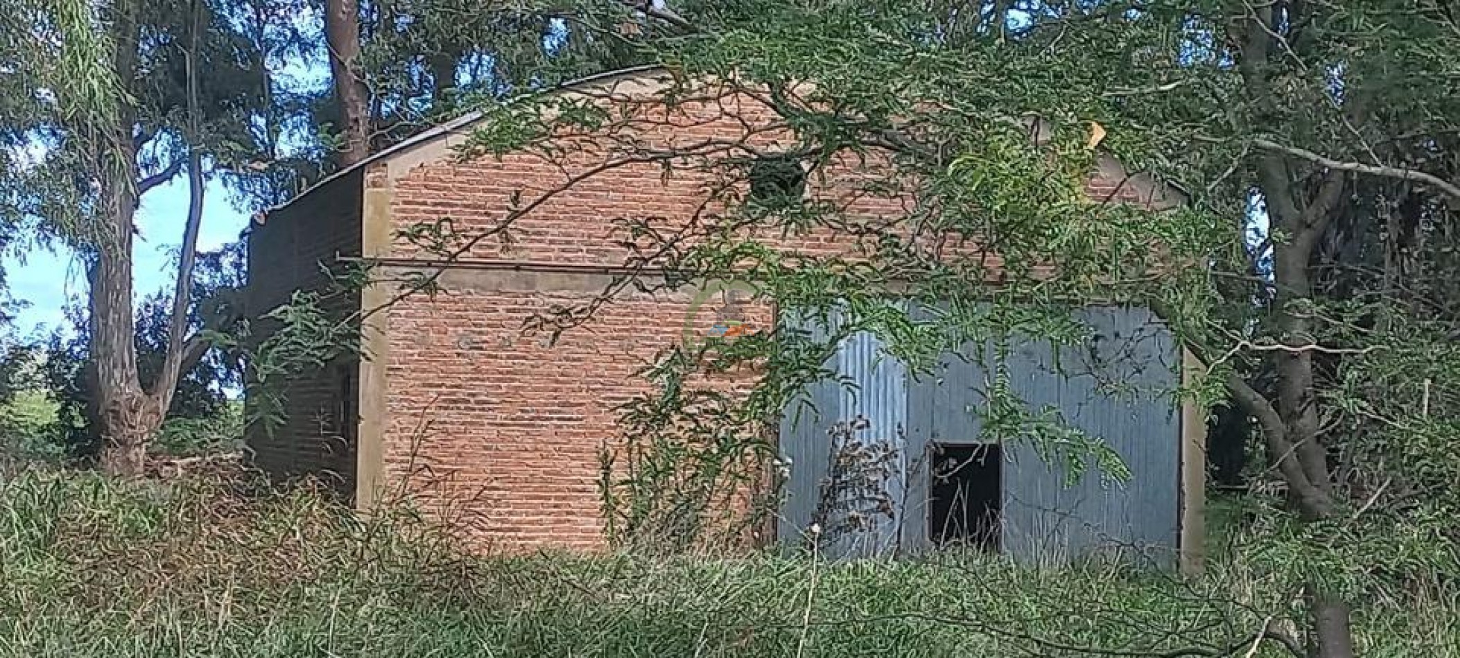 50 Ha Agricolas - Herrera Vegas