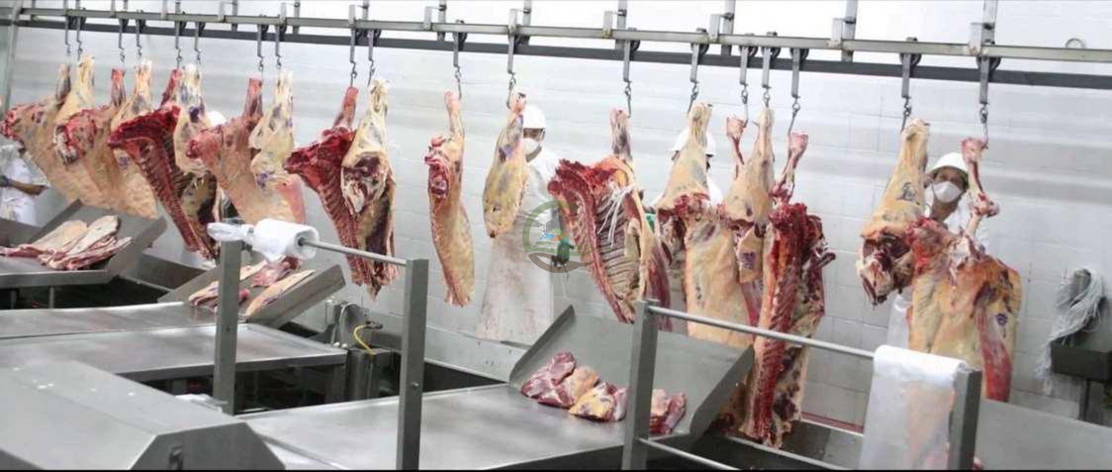 Frigorifico - con feedlot- Exportadora - La Adela - La Pampa