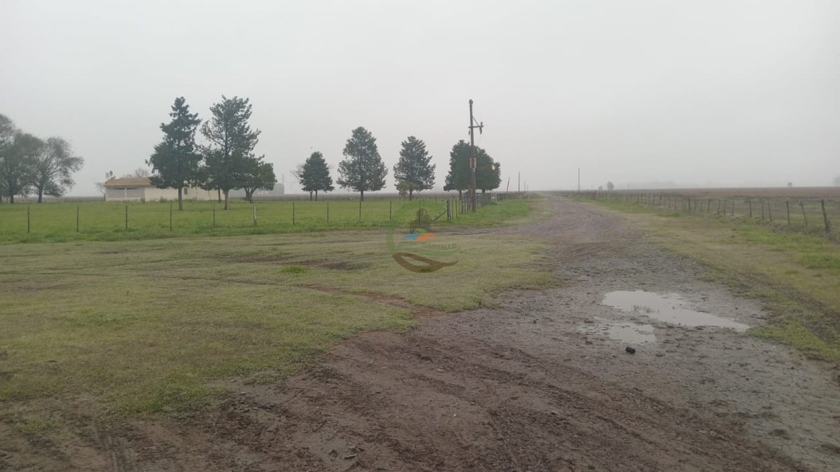 488 ha Mixto - Saladillo